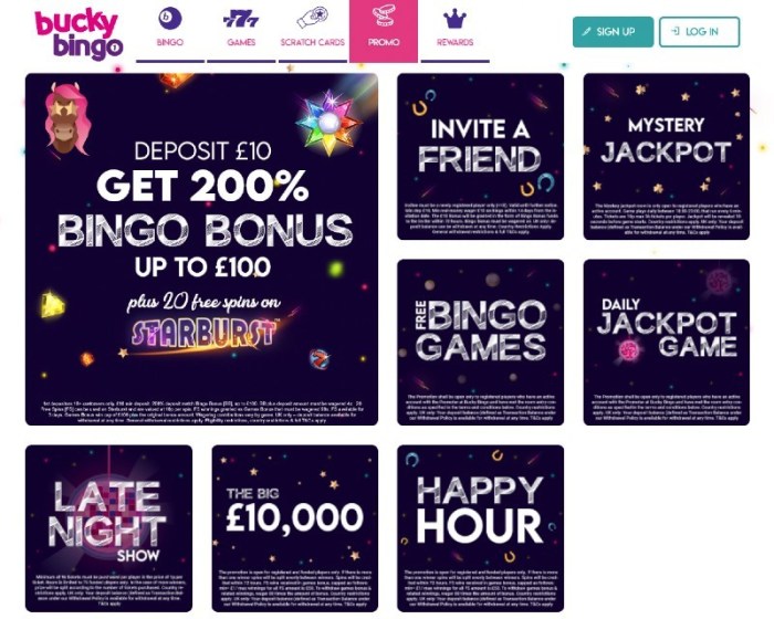 Bingo