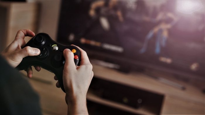 Digital Distribution Platforms: Services like Steam or Epic Games Store that distribute games digitally over the internet.